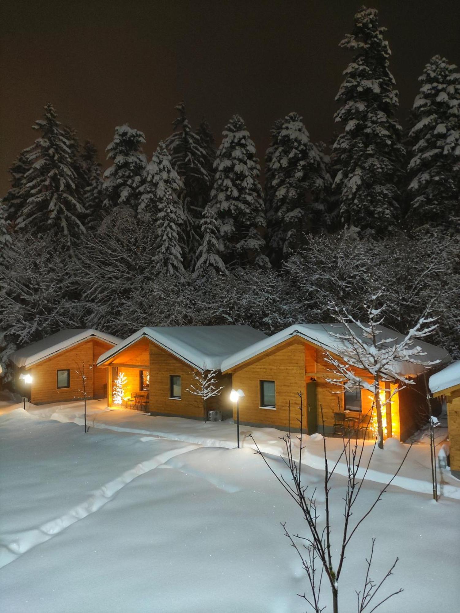 Iglika Hotel & Villas Borovets Luaran gambar